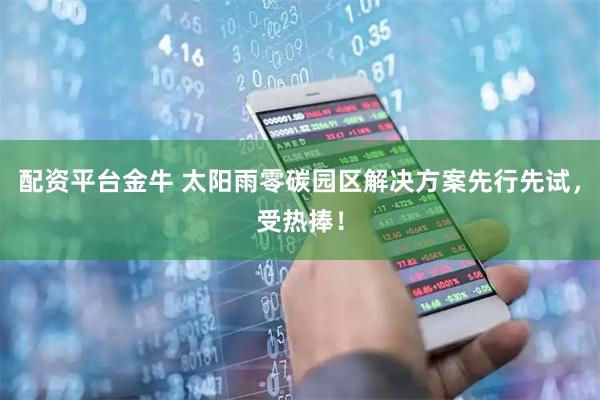 配资平台金牛 太阳雨零碳园区解决方案先行先试，受热捧！