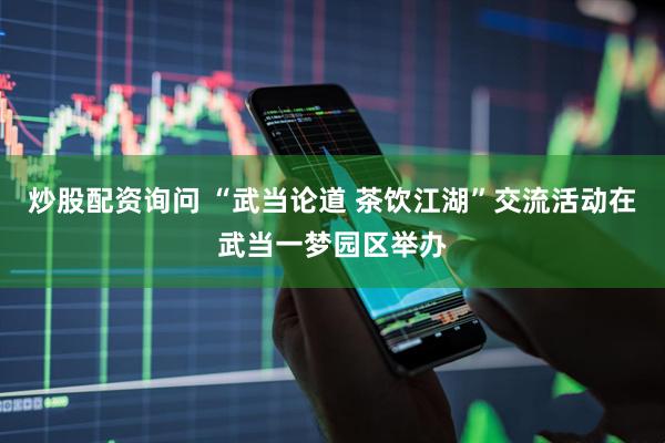 炒股配资询问 “武当论道 茶饮江湖”交流活动在武当一梦园区举办